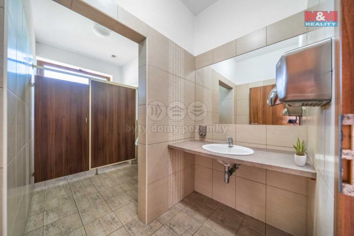 Pronájem komerční nemovitosti, Letkov, Plzeňská, 645 m2