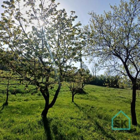 Prodej rodinného domu, Holčovice - Spálené, 200 m2