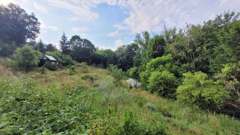 Prodej pozemku pro bydlení, Malečov - Horní Zálezly, 3175 m2