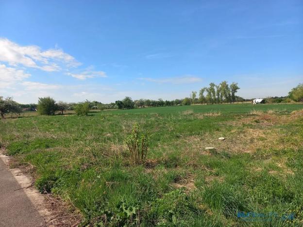 Prodej komerčního pozemku, Česká Skalice, U Topolů, 3700 m2