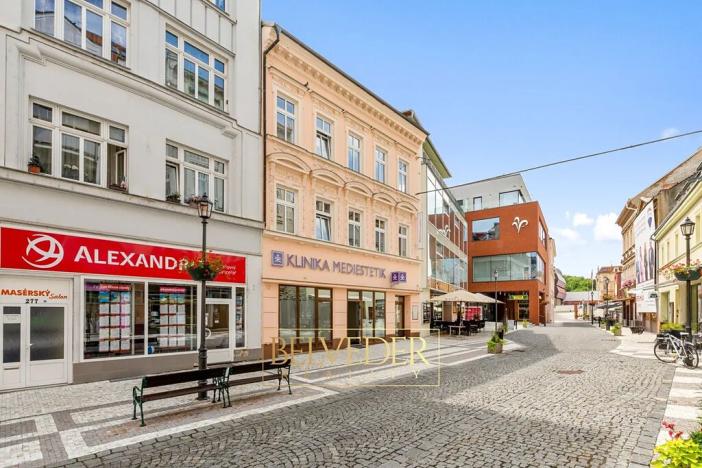 Prodej atypického bytu, Teplice, Krupská, 180 m2