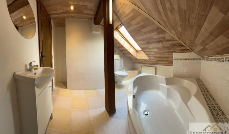 Prodej rodinného domu, Mutějovice, Revoluční, 287 m2