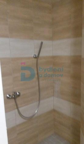 Pronájem bytu 1+1, Těšetice, 45 m2