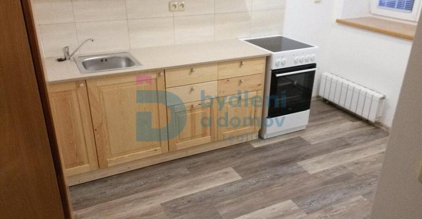Pronájem bytu 1+1, Těšetice, 45 m2
