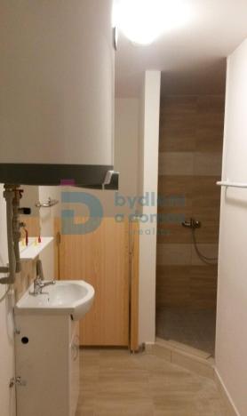 Pronájem bytu 1+1, Těšetice, 45 m2