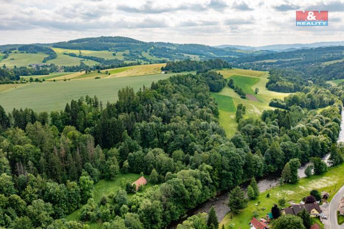 Prodej lesa, Peřimov, 36610 m2