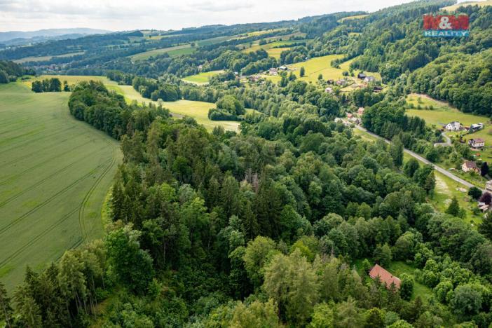 Prodej lesa, Peřimov, 36610 m2
