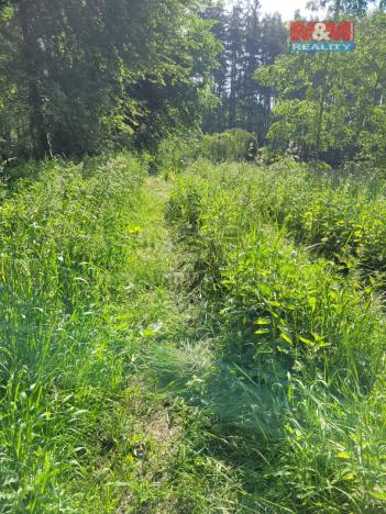 Prodej rybníku, Toužim - Luhov, 13432 m2