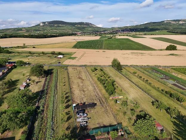 Prodej pozemku pro bydlení, Dolní Dunajovice, 2041 m2