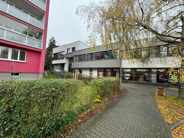 Pronájem obchodního prostoru, Nový Jičín, Dvořákova, 263 m2