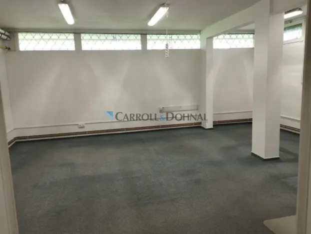 Pronájem skladu, Brno - Lesná, Loosova, 38 m2