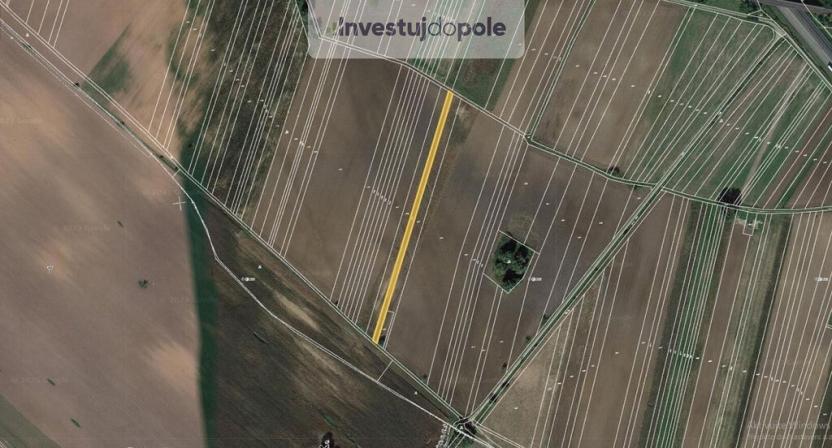 Prodej pole, Kostice, 2446 m2
