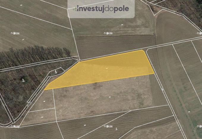 Prodej pole, Kotopeky - Tihava, 584 m2