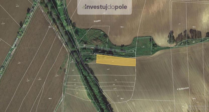 Prodej pole, Mutějovice, 2287 m2