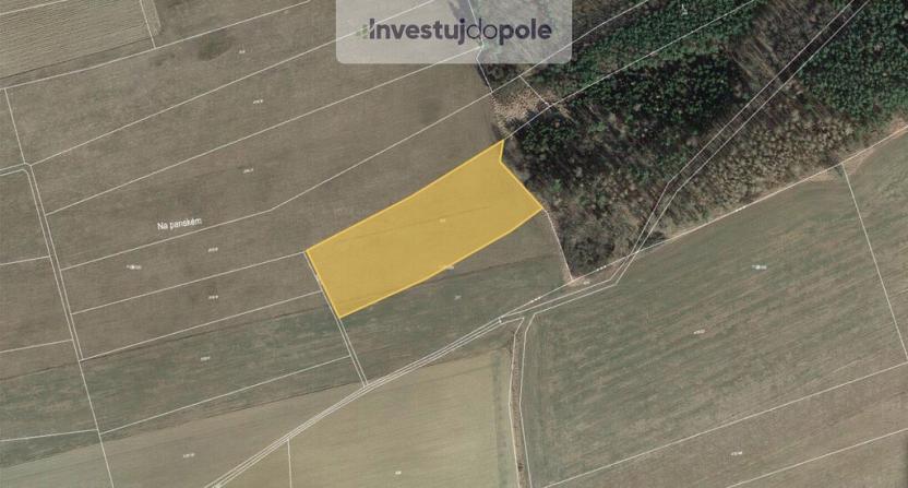 Prodej pole, Hřebečníky - Novosedly, 6811 m2