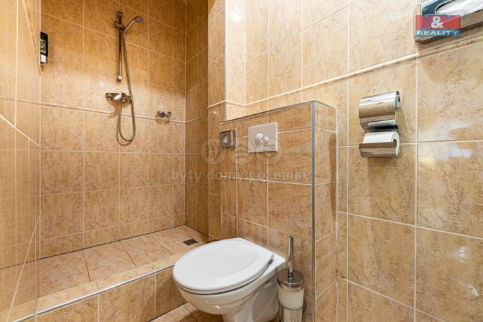 Pronájem bytu 2+kk, Plzeň - Vnitřní Město, Zbrojnická, 80 m2