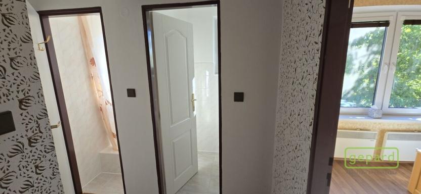 Prodej rodinného domu, Černá v Pošumaví - Mokrá, 200 m2