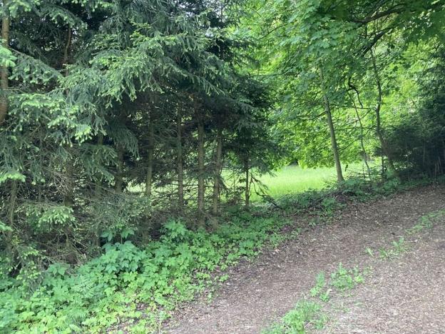 Prodej pozemku pro bydlení, Sušice, 634 m2