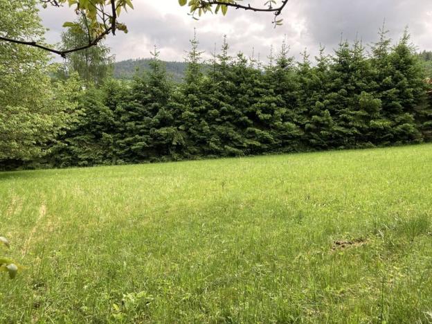 Prodej pozemku pro bydlení, Sušice, Pod Kalichem, 650 m2