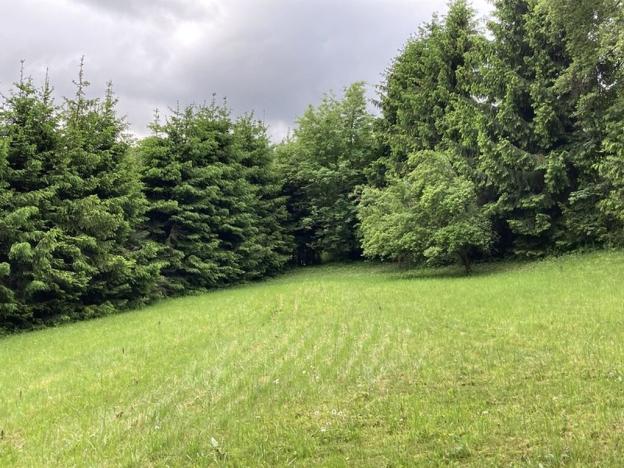 Prodej pozemku pro bydlení, Sušice, Pod Kalichem, 650 m2