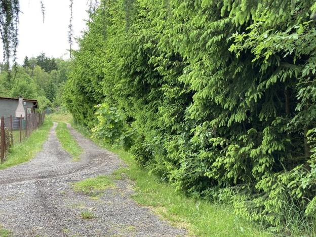 Prodej pozemku pro bydlení, Sušice, Pod Kalichem, 650 m2