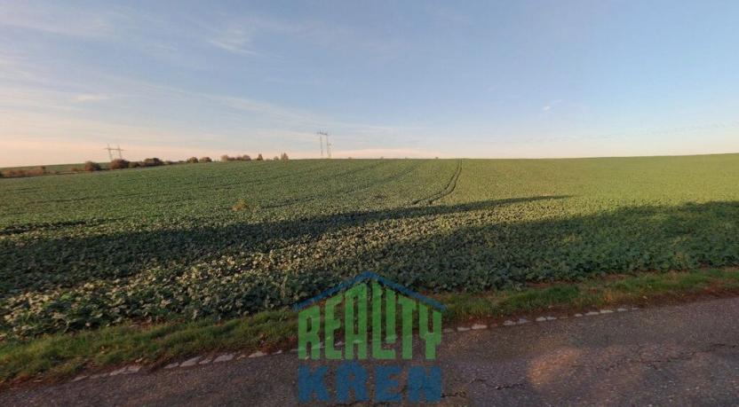 Prodej pole, Plaňany - Blinka, 132775 m2