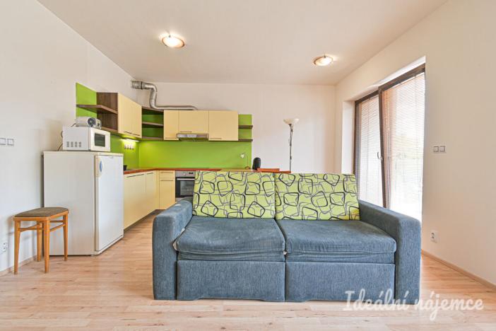 Pronájem bytu 1+kk, Brno - Slatina, Kigginsova, 40 m2