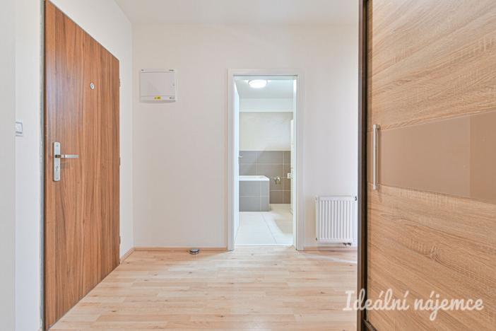 Pronájem bytu 1+kk, Brno - Slatina, Kigginsova, 40 m2