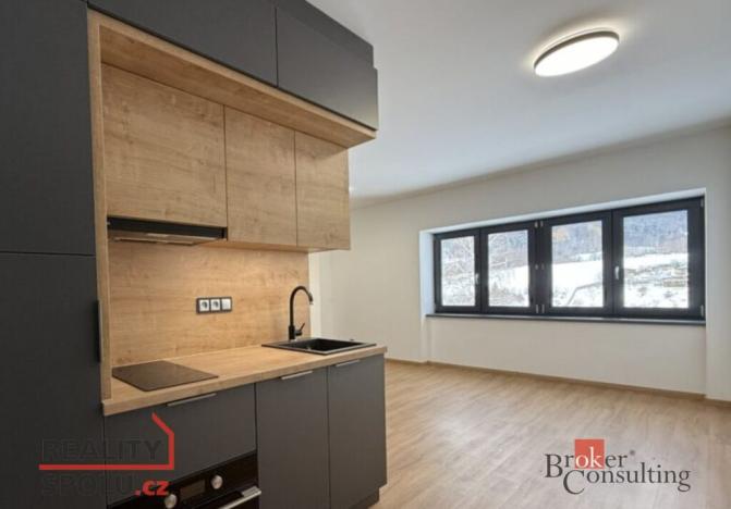 Prodej bytu 2+kk, Loučná nad Desnou - Rejhotice, 85 m2