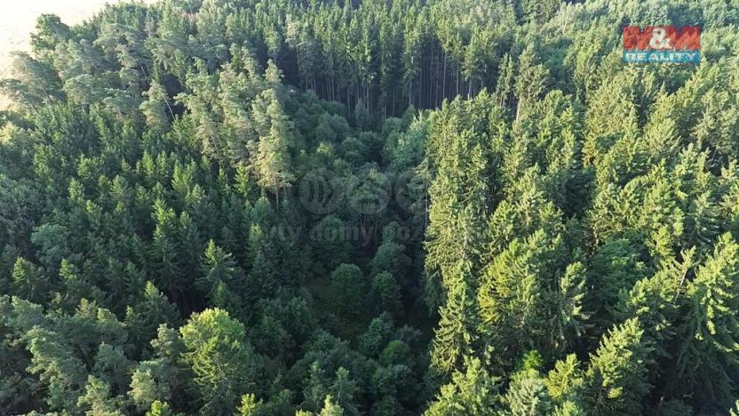 Prodej lesa, Tábor - Horky, 5139 m2