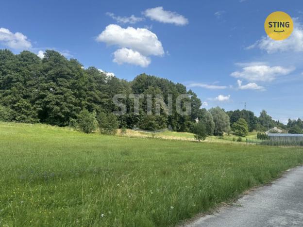 Prodej pozemku pro bydlení, Albrechtice, 4278 m2