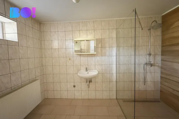 Prodej rodinného domu, Velké Albrechtice, 300 m2