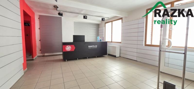 Prodej rodinného domu, Tachov, K Náměstí, 330 m2