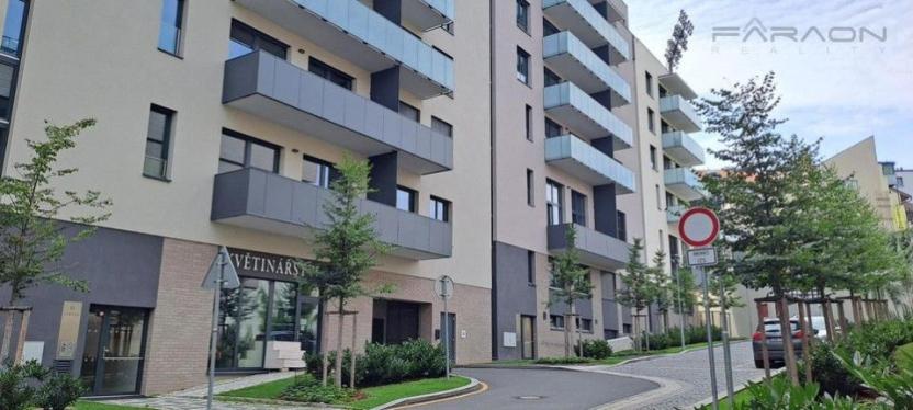 Pronájem bytu 1+kk, Praha - Žižkov, U Viktorie, 49 m2