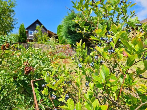 Prodej chaty, Životice u Nového Jičína, 15 m2