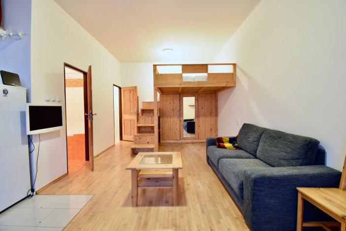 Pronájem bytu 1+kk, Brno - Štýřice, Celní, 32 m2