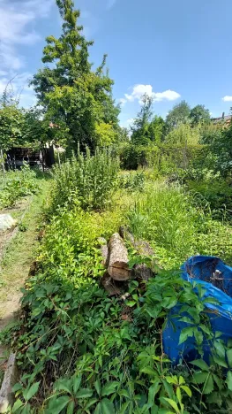 Prodej rodinného domu, Brno, Slovinská, 64 m2