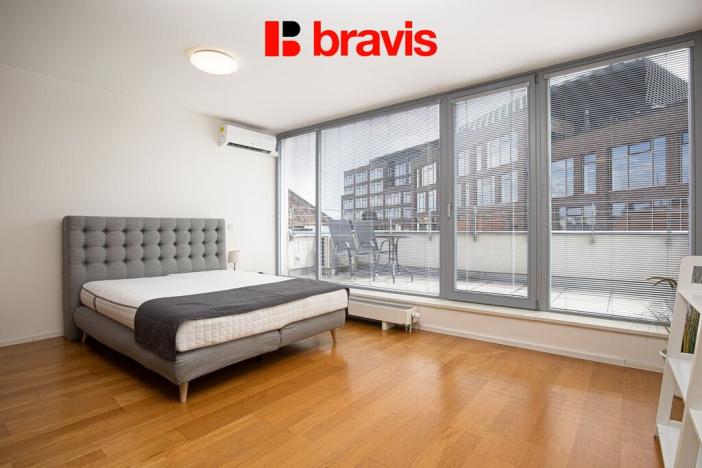 Pronájem bytu 1+kk, Brno - Trnitá, Mlýnská, 63 m2