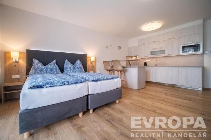 Prodej bytu 1+kk, Lipno nad Vltavou, 42 m2