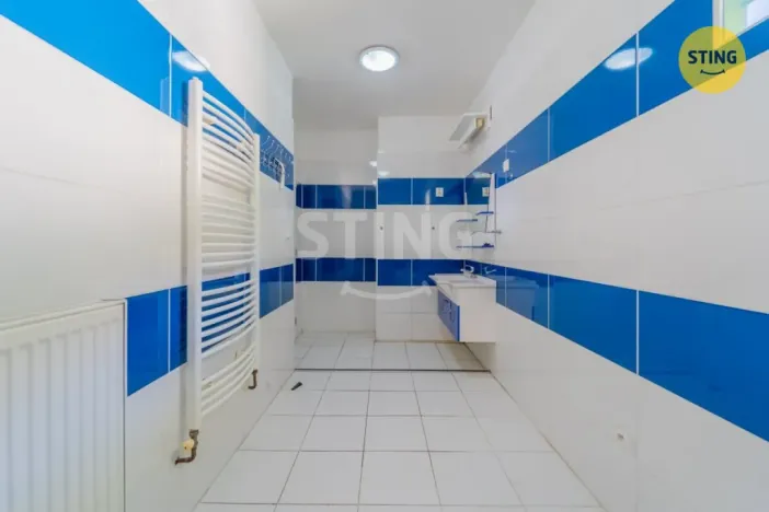 Prodej rodinného domu, Vřesina, Vodní důl, 279 m2