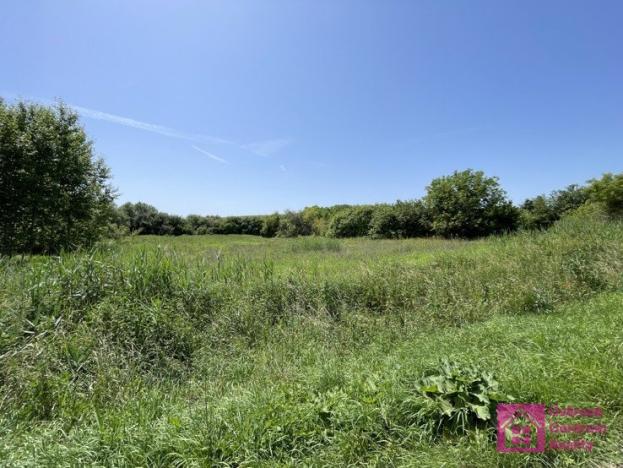 Prodej pozemku pro bydlení, Diváky, 7284 m2