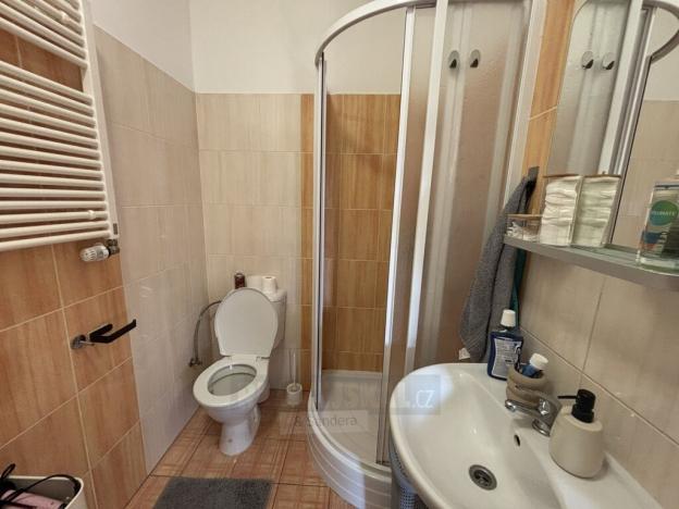 Pronájem bytu 1+kk, České Budějovice - České Budějovice 3, Lipenská, 42 m2