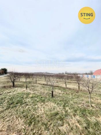 Prodej sadu/vinice, Lužice, 3829 m2