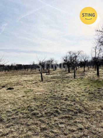 Prodej sadu/vinice, Lužice, 3829 m2