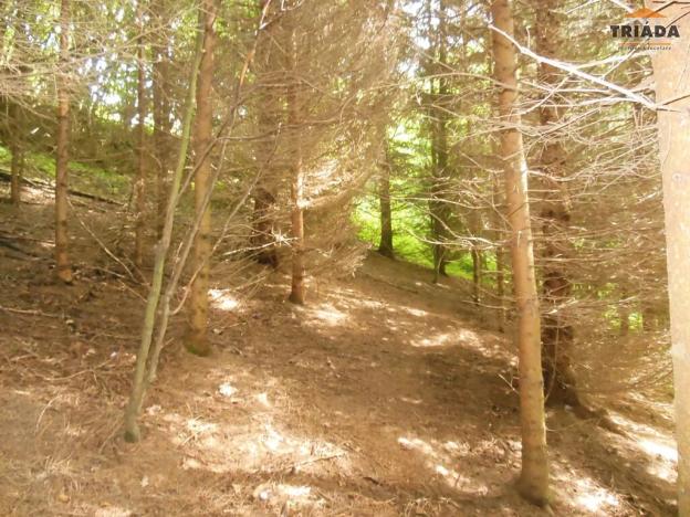 Prodej chalupy, Zlatá Olešnice, 104 m2