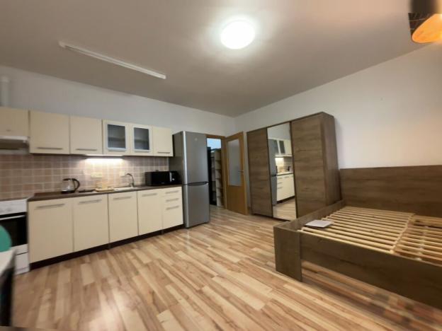 Pronájem bytu 1+kk, Plzeň - Jižní Předměstí, Goldscheiderova, 30 m2