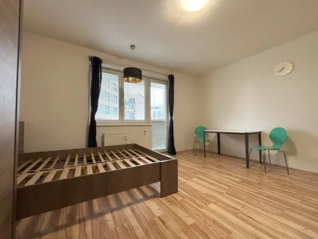 Pronájem bytu 1+kk, Plzeň - Jižní Předměstí, Goldscheiderova, 30 m2