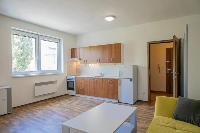 Pronájem bytu 1+kk, Olomouc, Edisonova, 35 m2