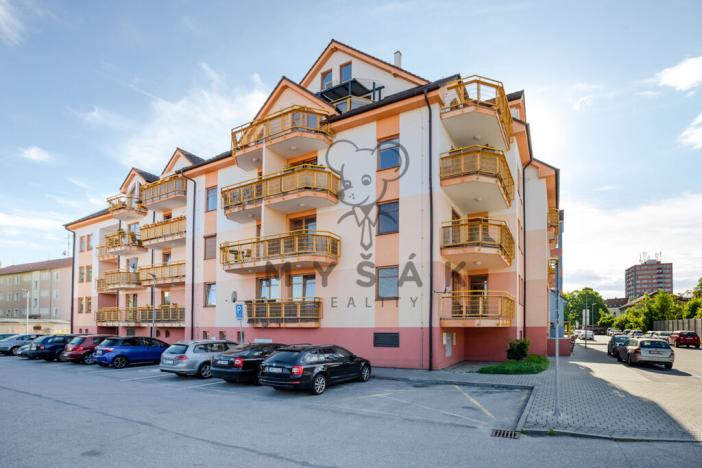 Pronájem bytu 1+kk, České Budějovice - České Budějovice 3, U Trojice, 31 m2