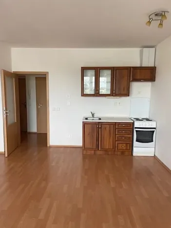 Pronájem bytu 1+kk, Olomouc, Družební, 40 m2